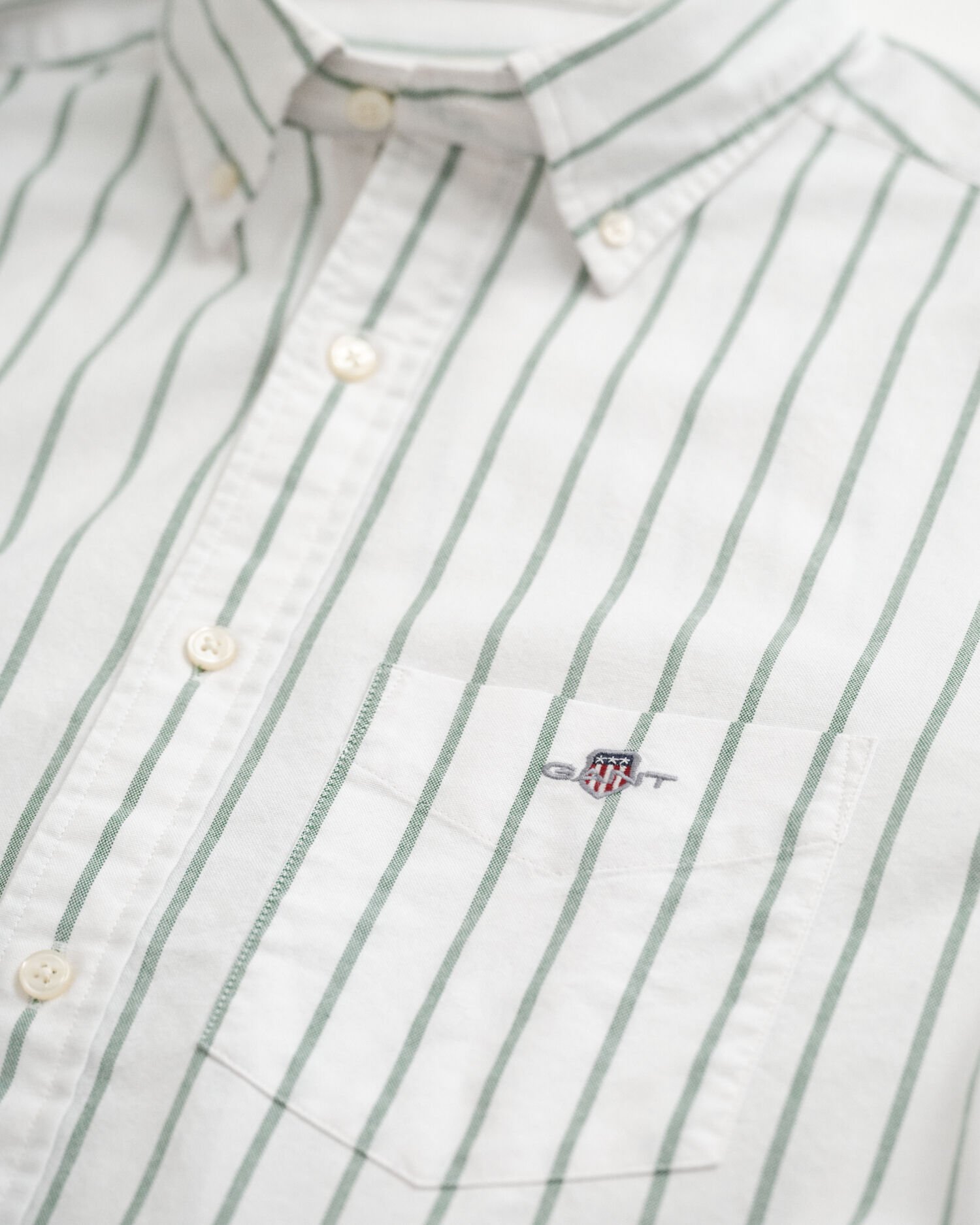 Camisa Oxford clássica às riscas regular fit