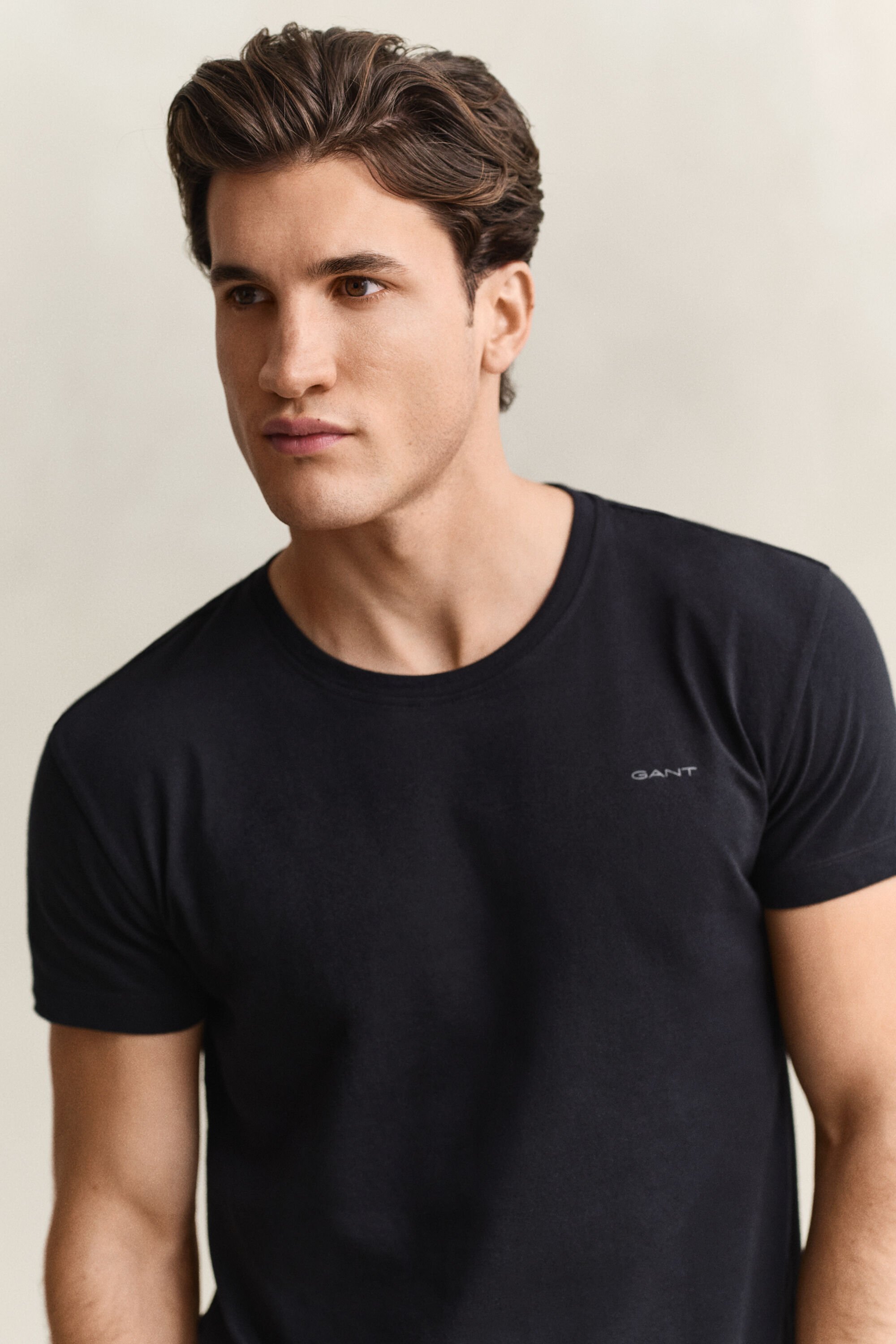 Pack de duas t-shirts com decote redondo