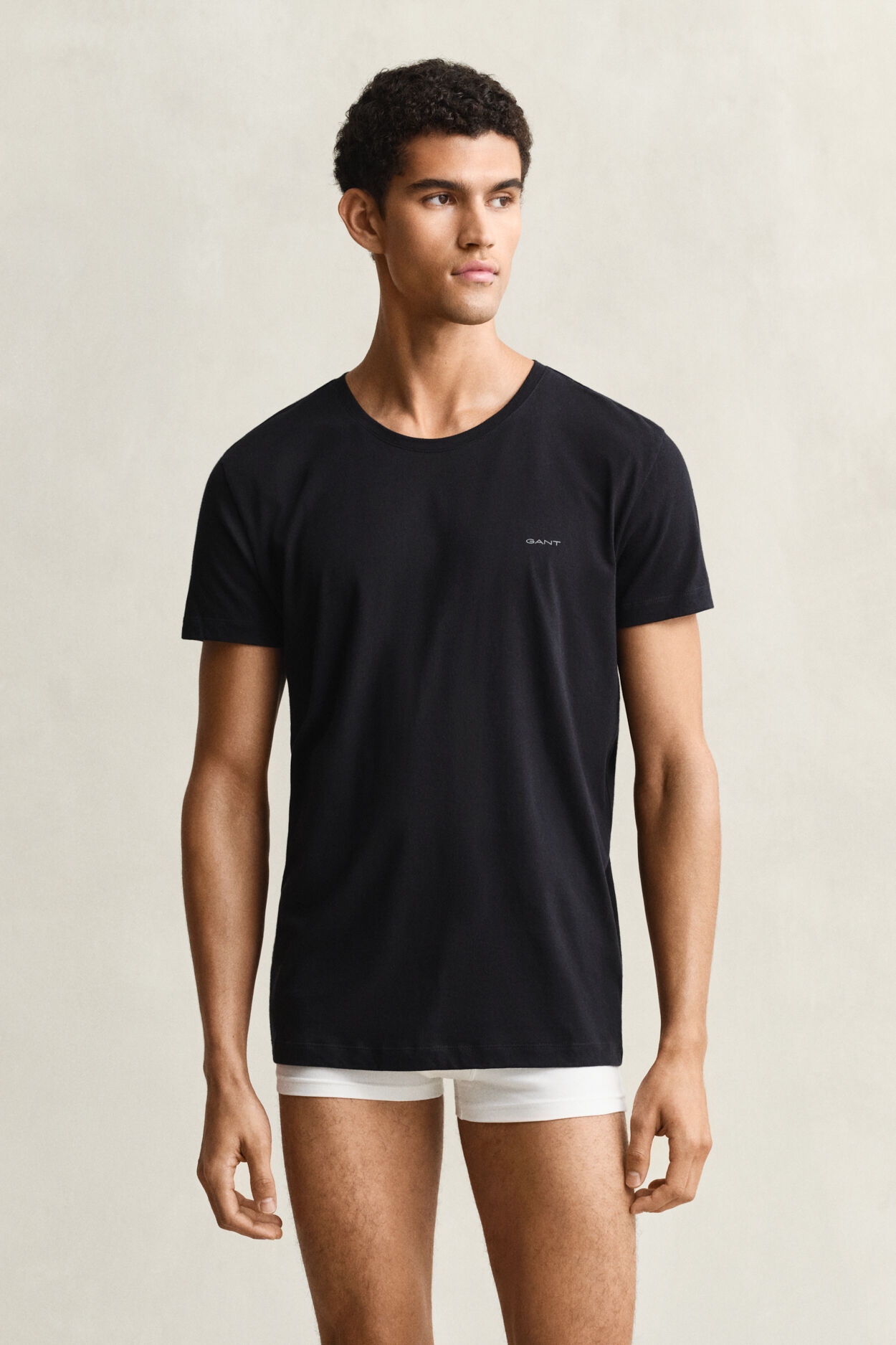 Pack de duas t-shirts com decote redondo