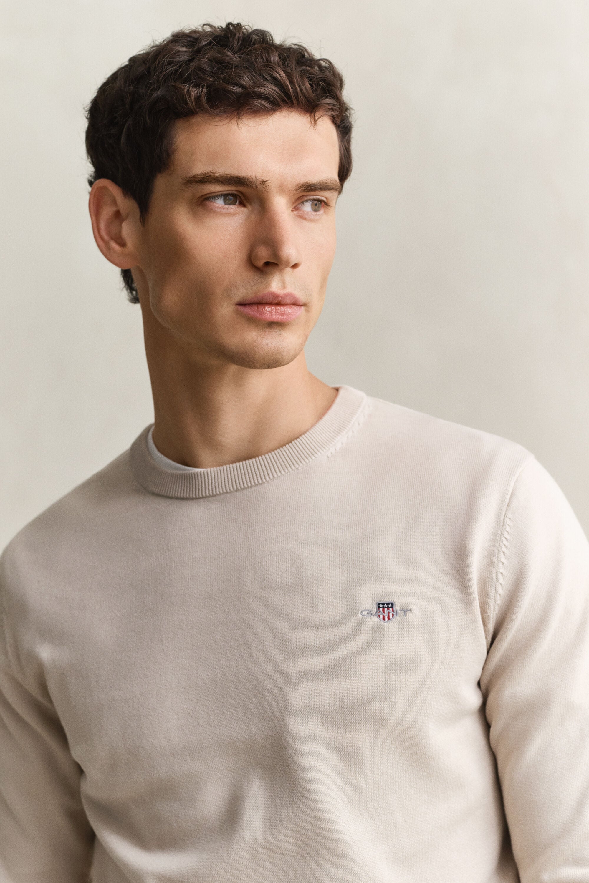 Camisola de malha com decote redondo clássica em algodão