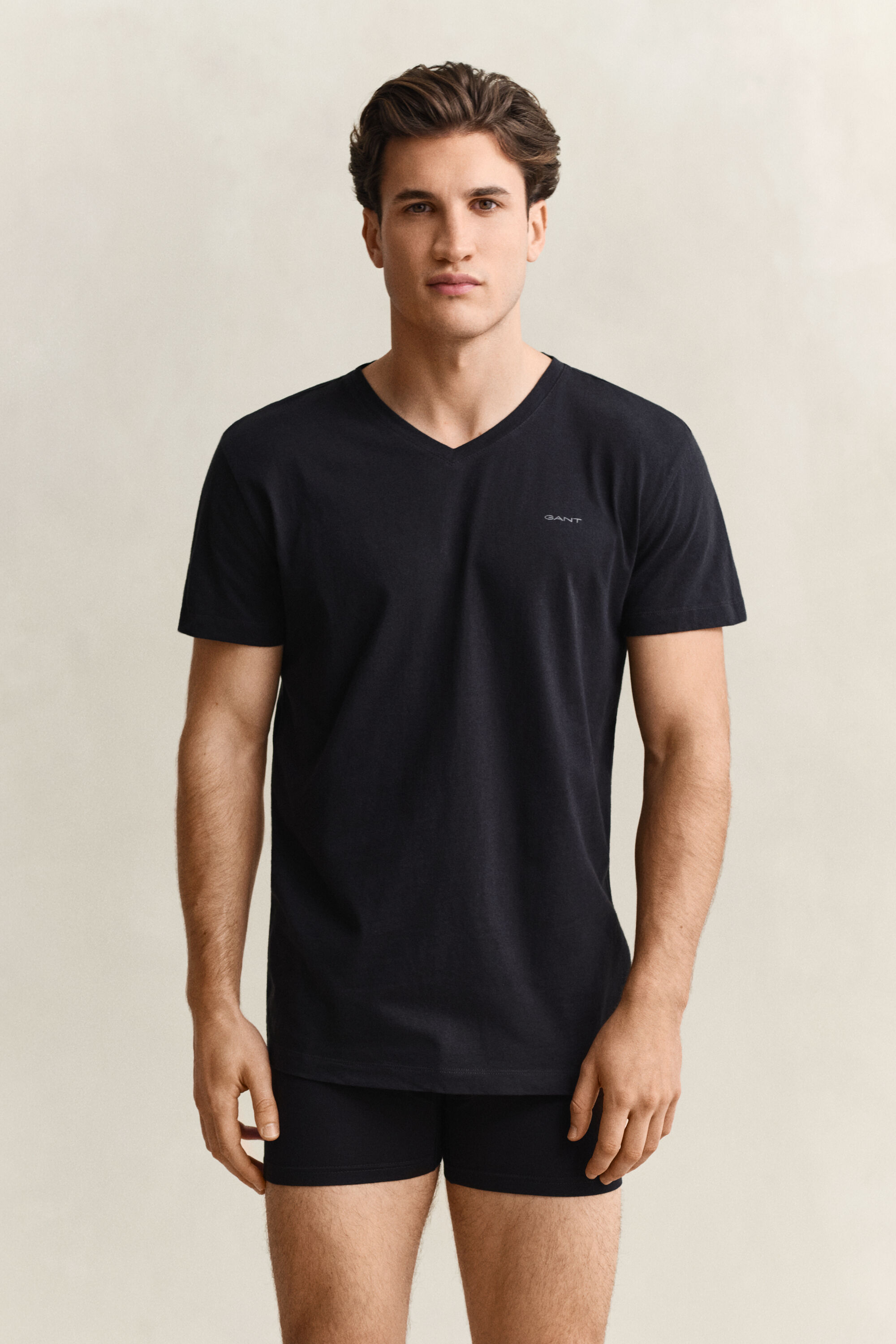 Pack de duas t-shirts com decote em V