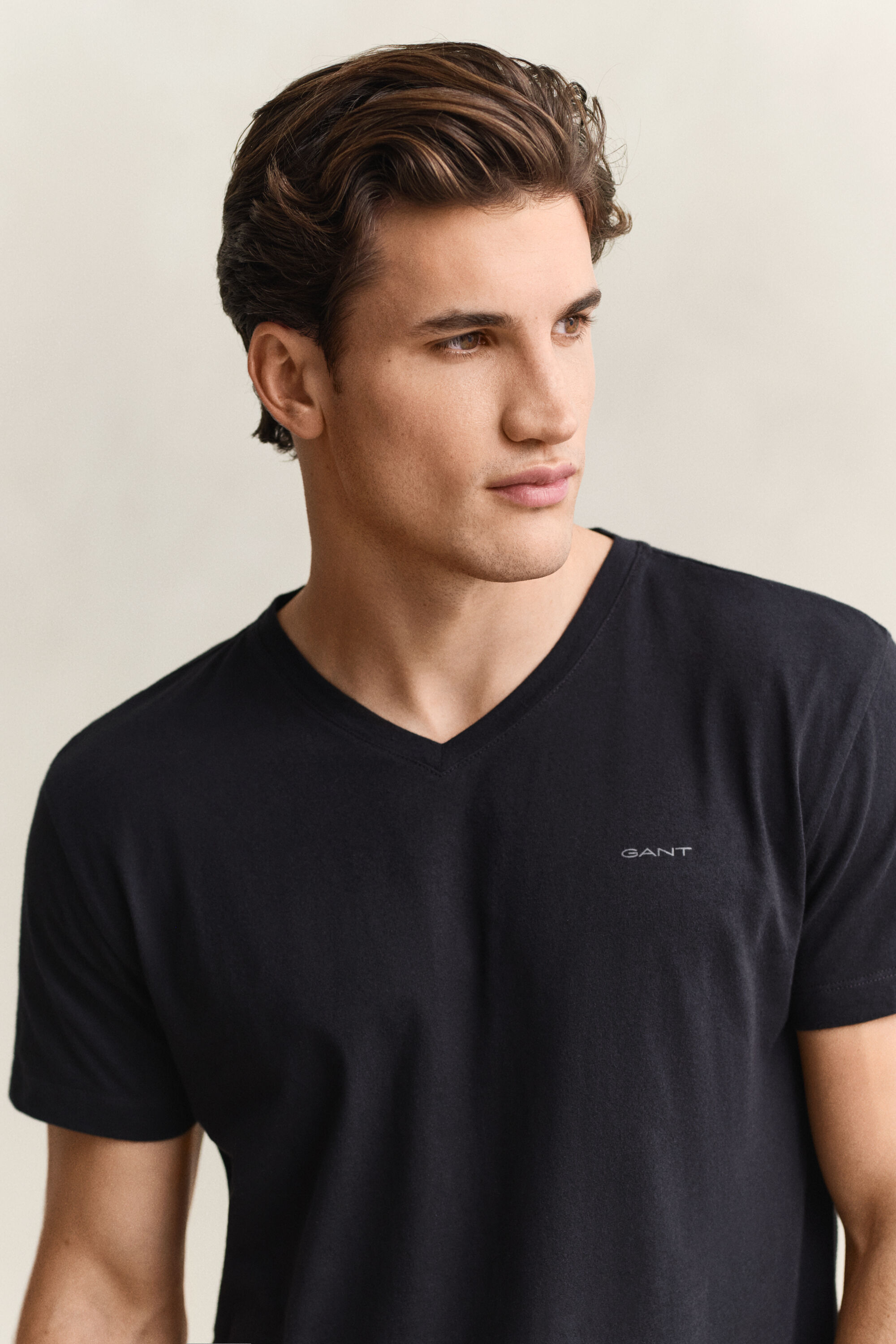 Pack de duas t-shirts com decote em V