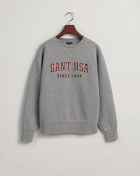 Sweatshirt com decote redondo USA Graphic