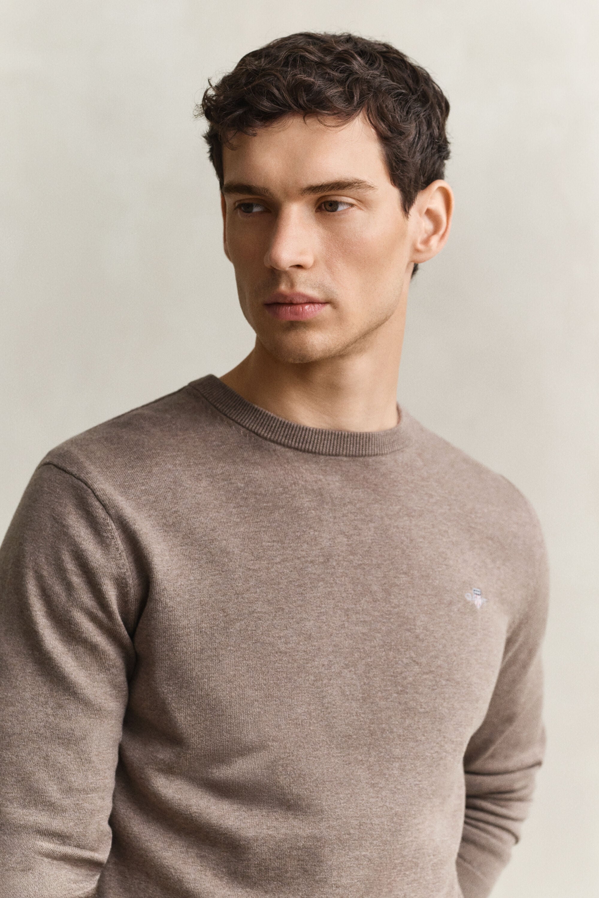 Camisola de malha com decote redondo clássica em algodão