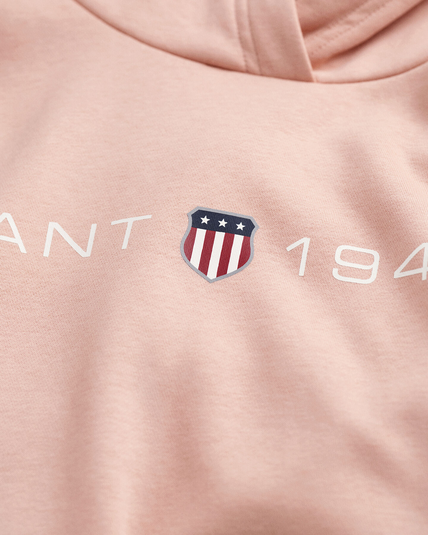 Sweatshirt com capuz e estampado Archive Shield