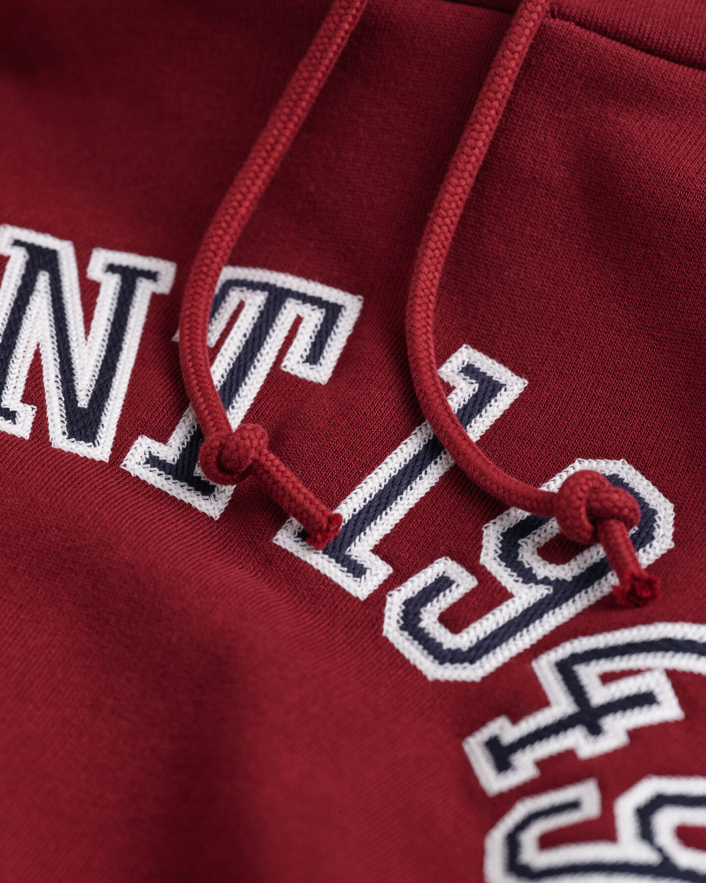 Sweatshirt com capuz GANT 1949 Arch Graphic