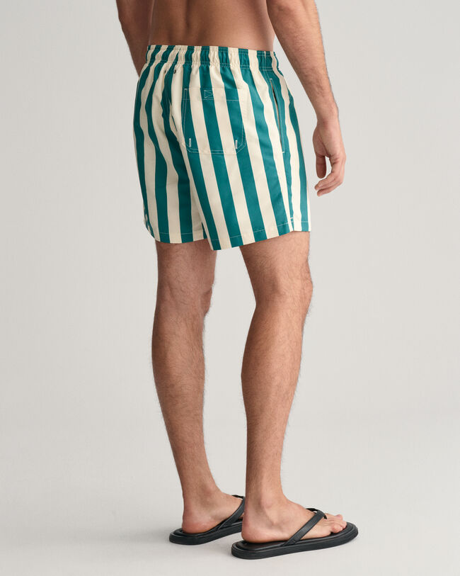Block Striped Swim Shorts