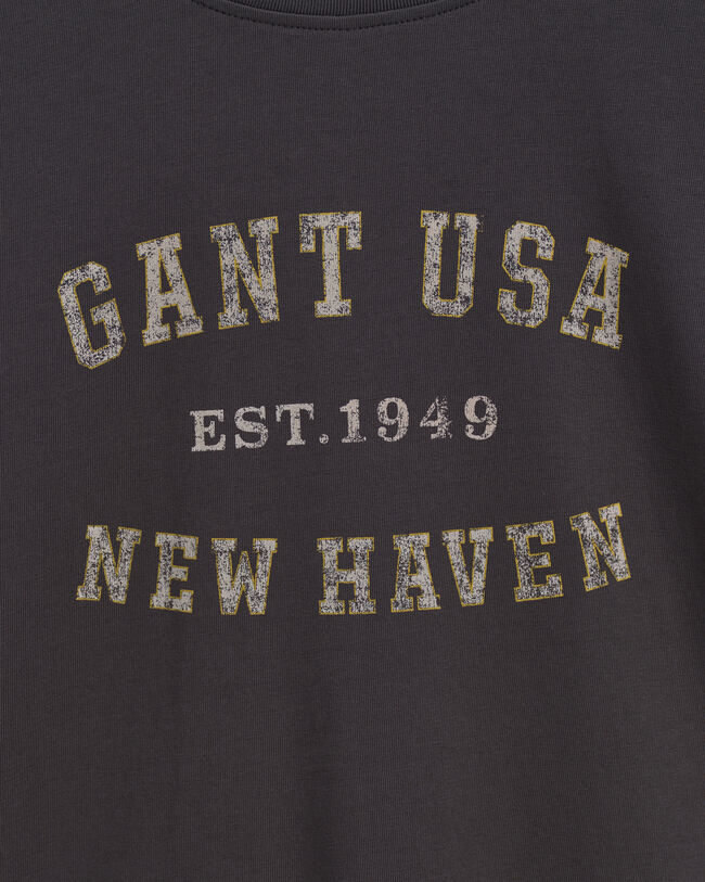 T-shirt USA Graphic Teen Boys