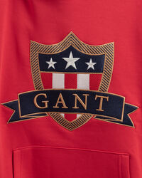 Camisola com capuz Banner Shield Teens