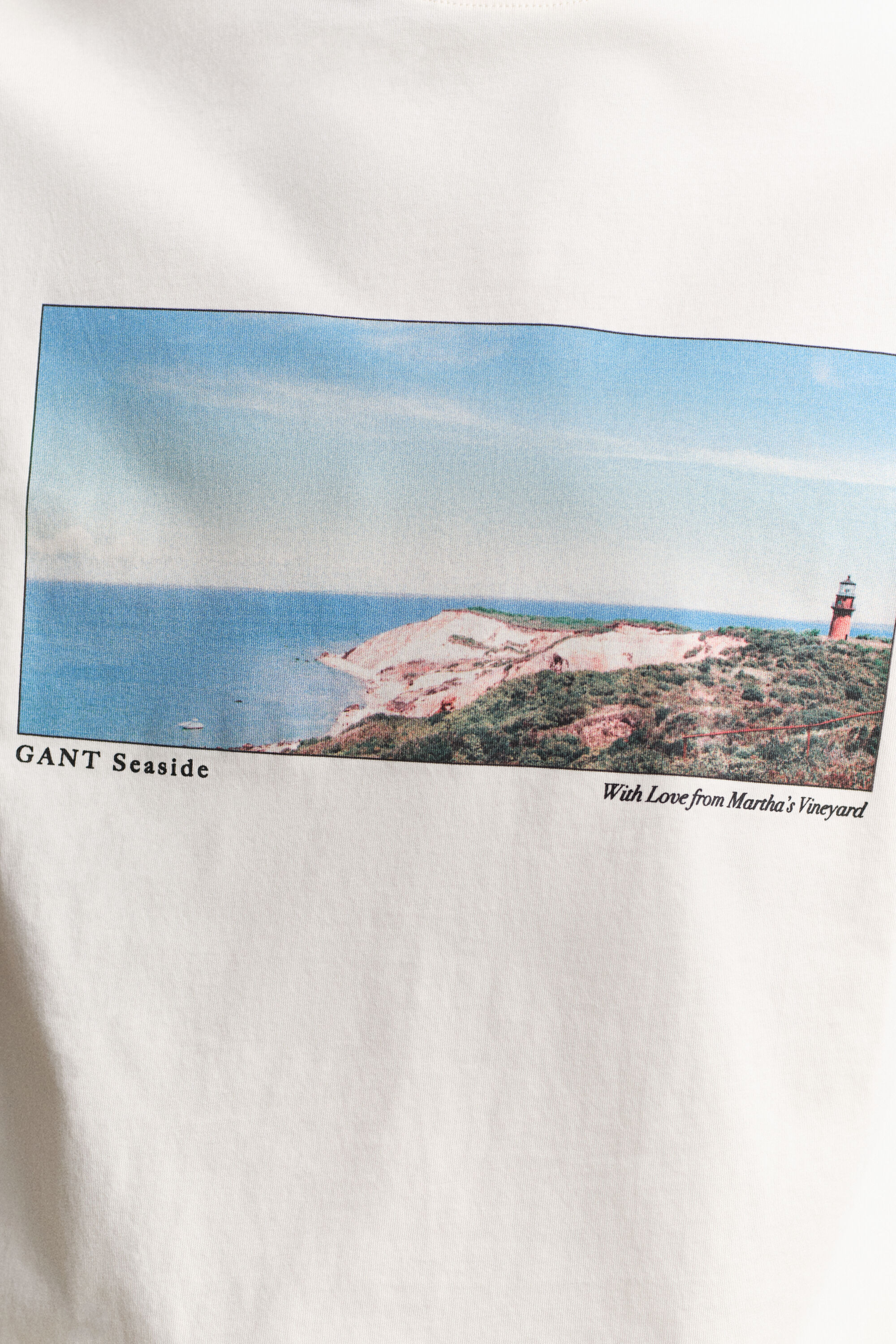 T-shirt com grafismo Scenery