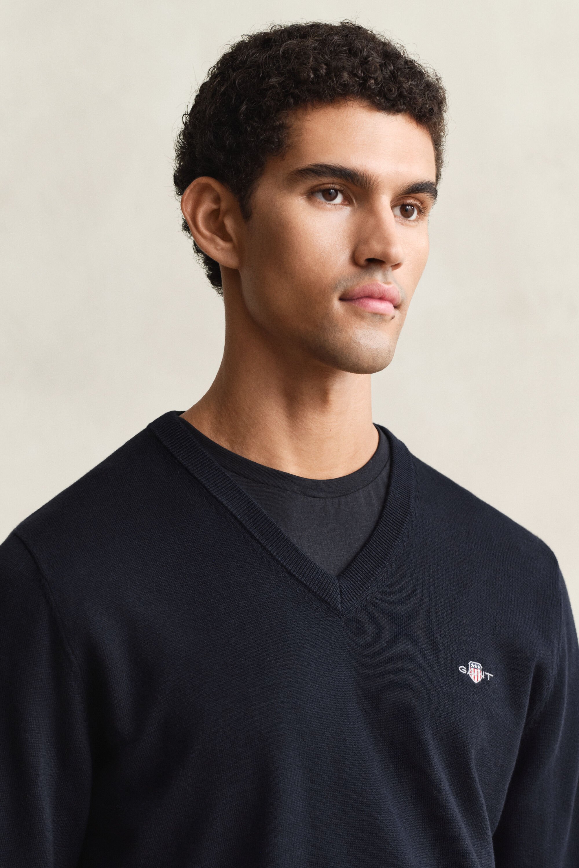 Pulover com decote em V em algodão clássico