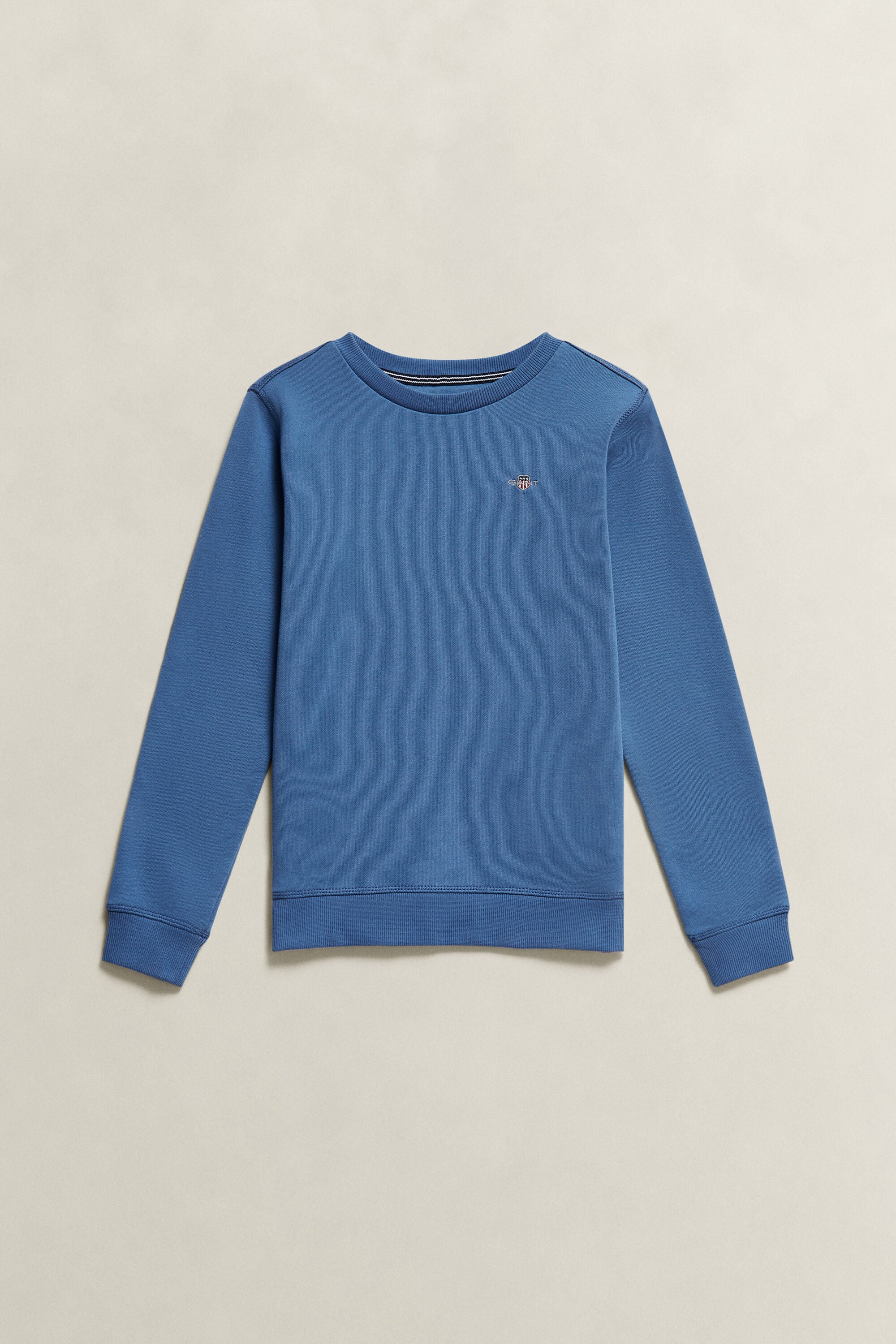Sweatshirt Shield Teens
