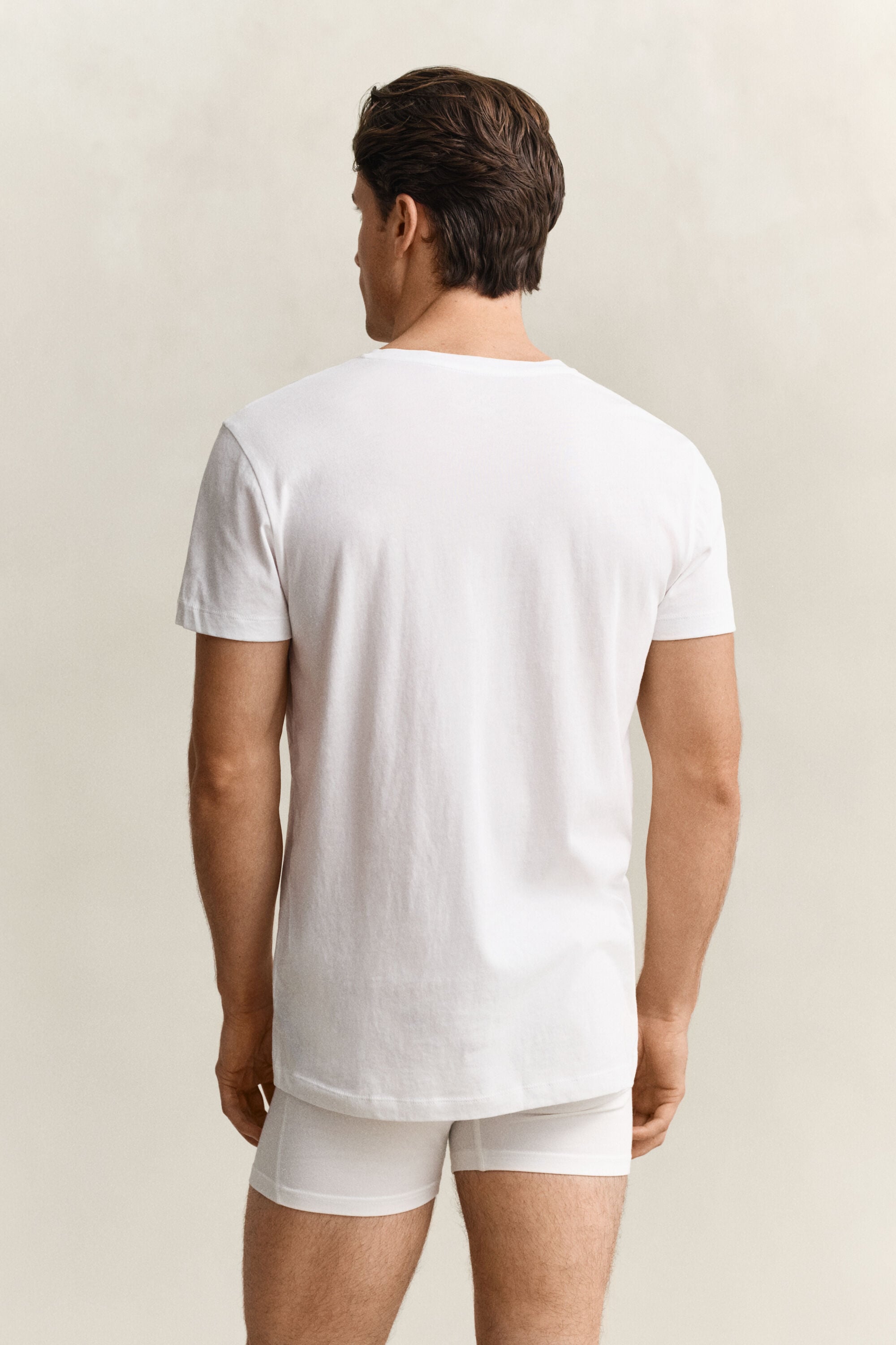Pack de duas t-shirts com decote em V