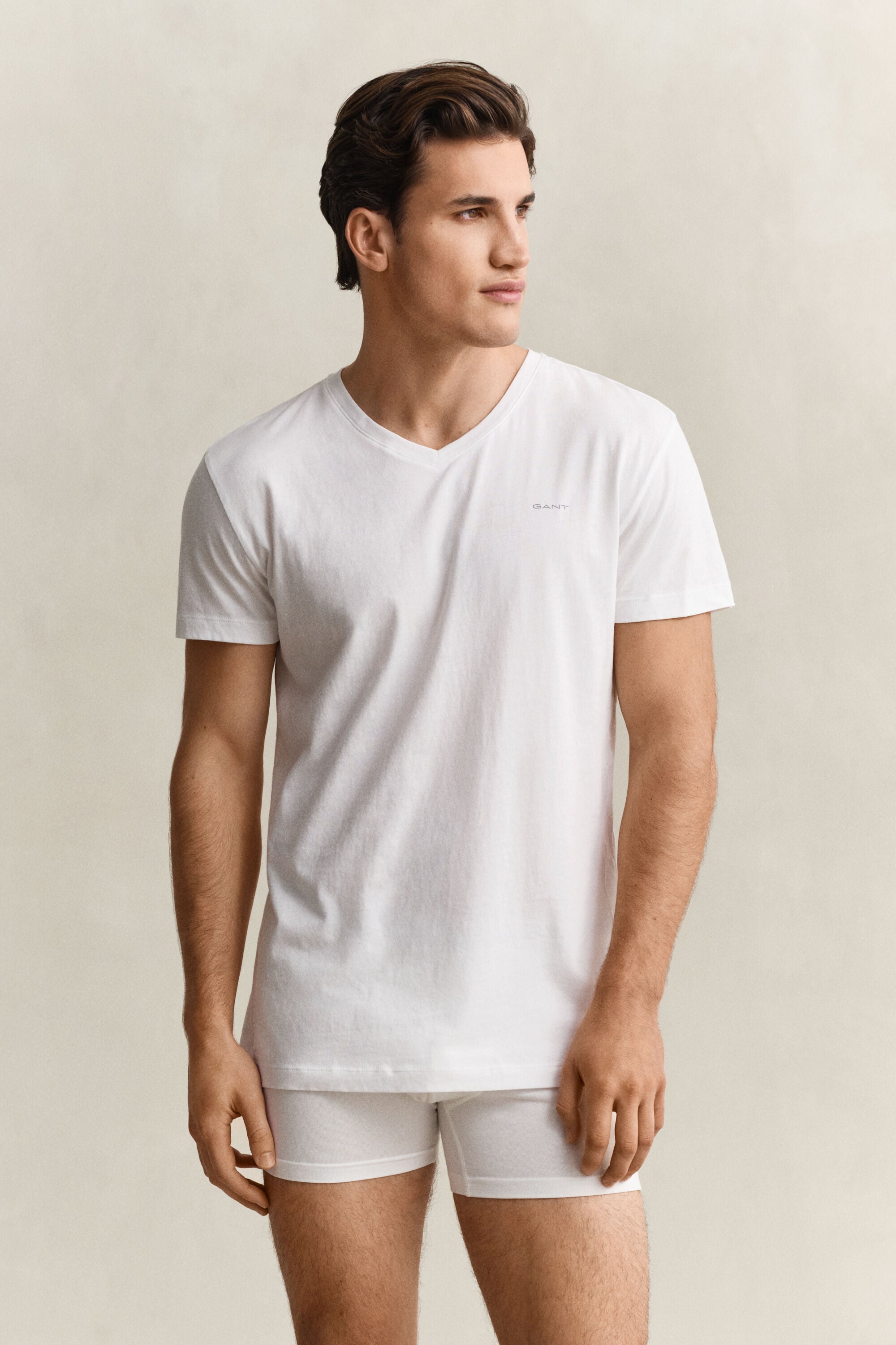 Pack de duas t-shirts com decote em V