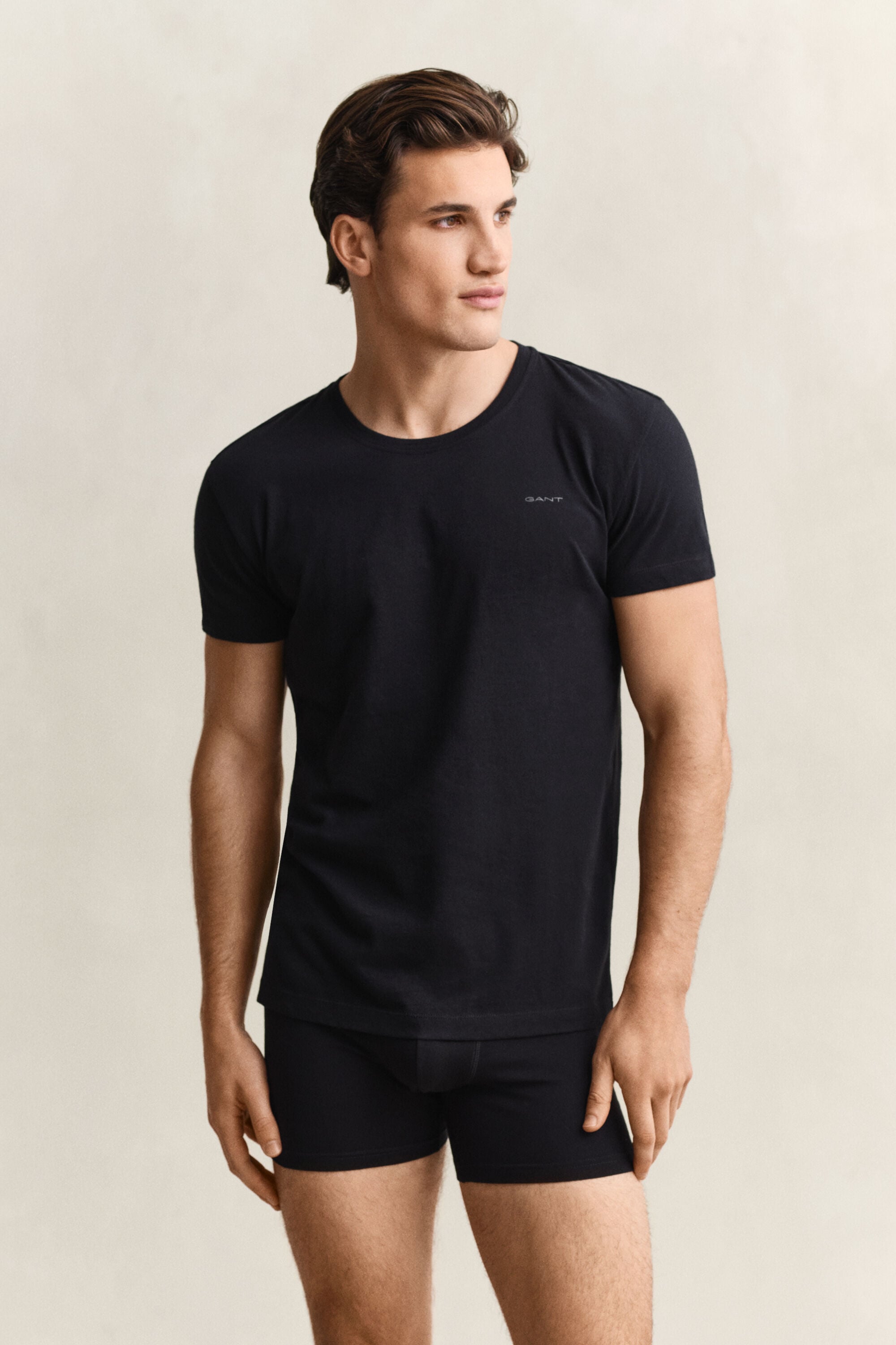 Pack de duas t-shirts com decote redondo