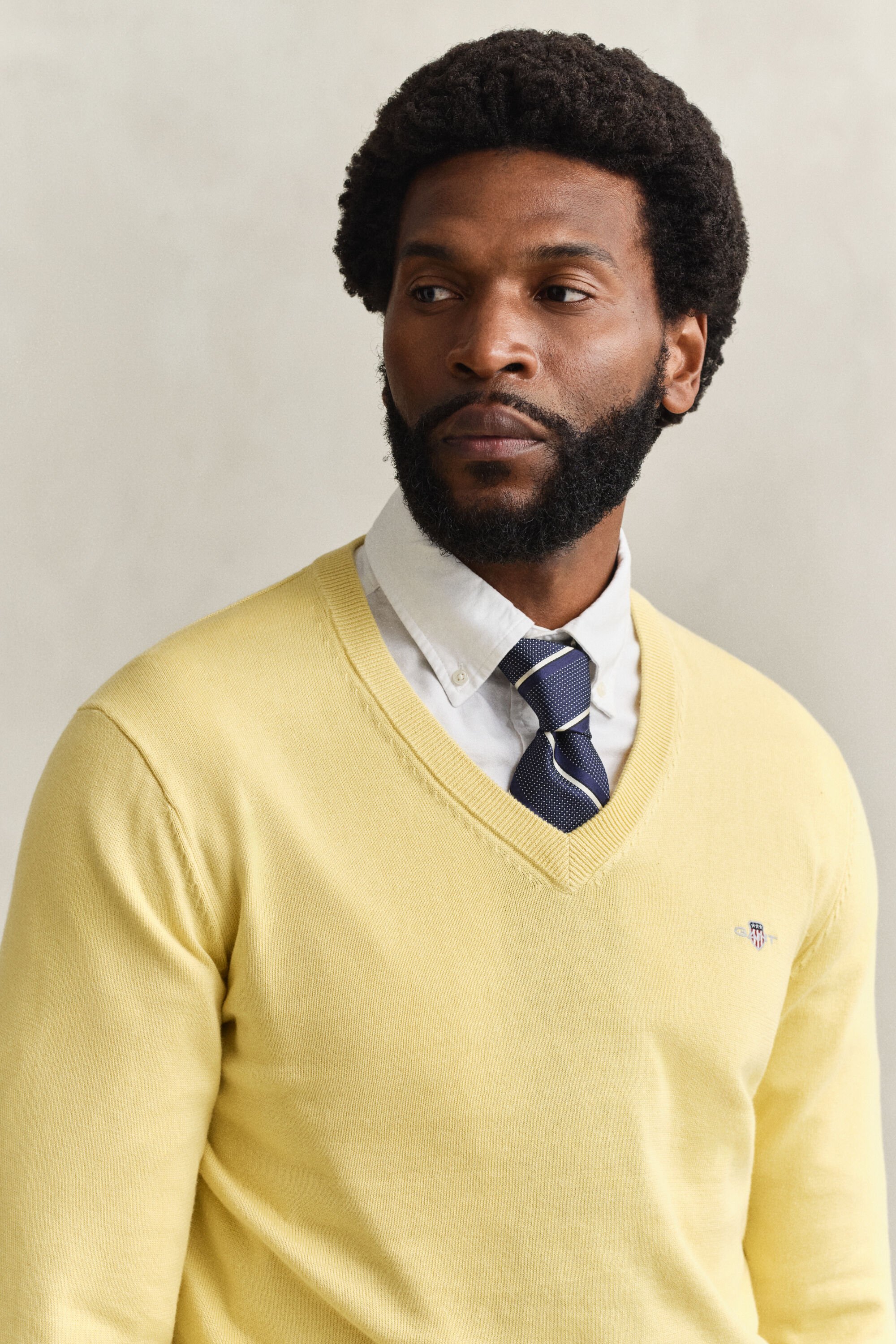 Pulover com decote em V em algodão clássico