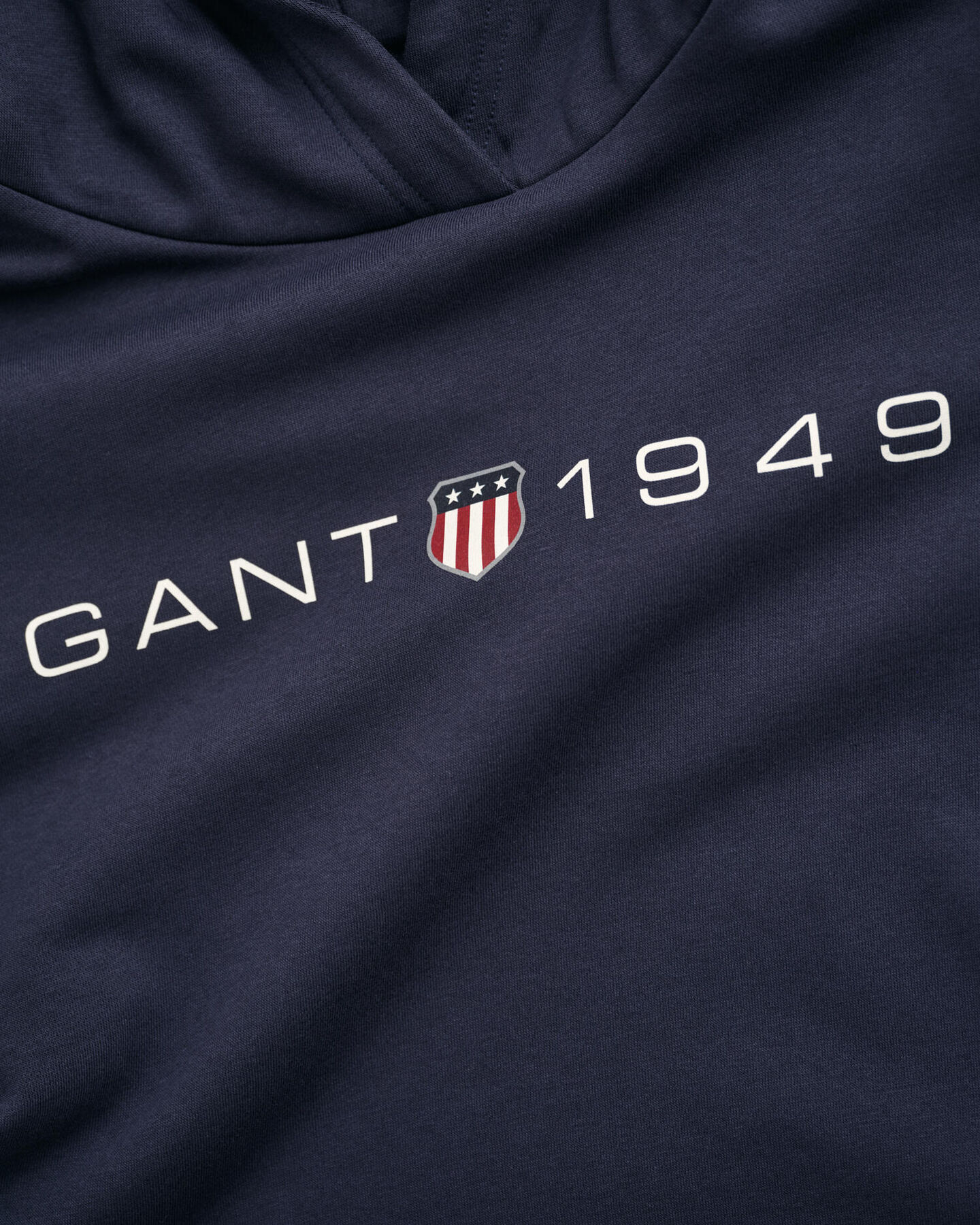 Sweatshirt com capuz e estampado Archive Shield