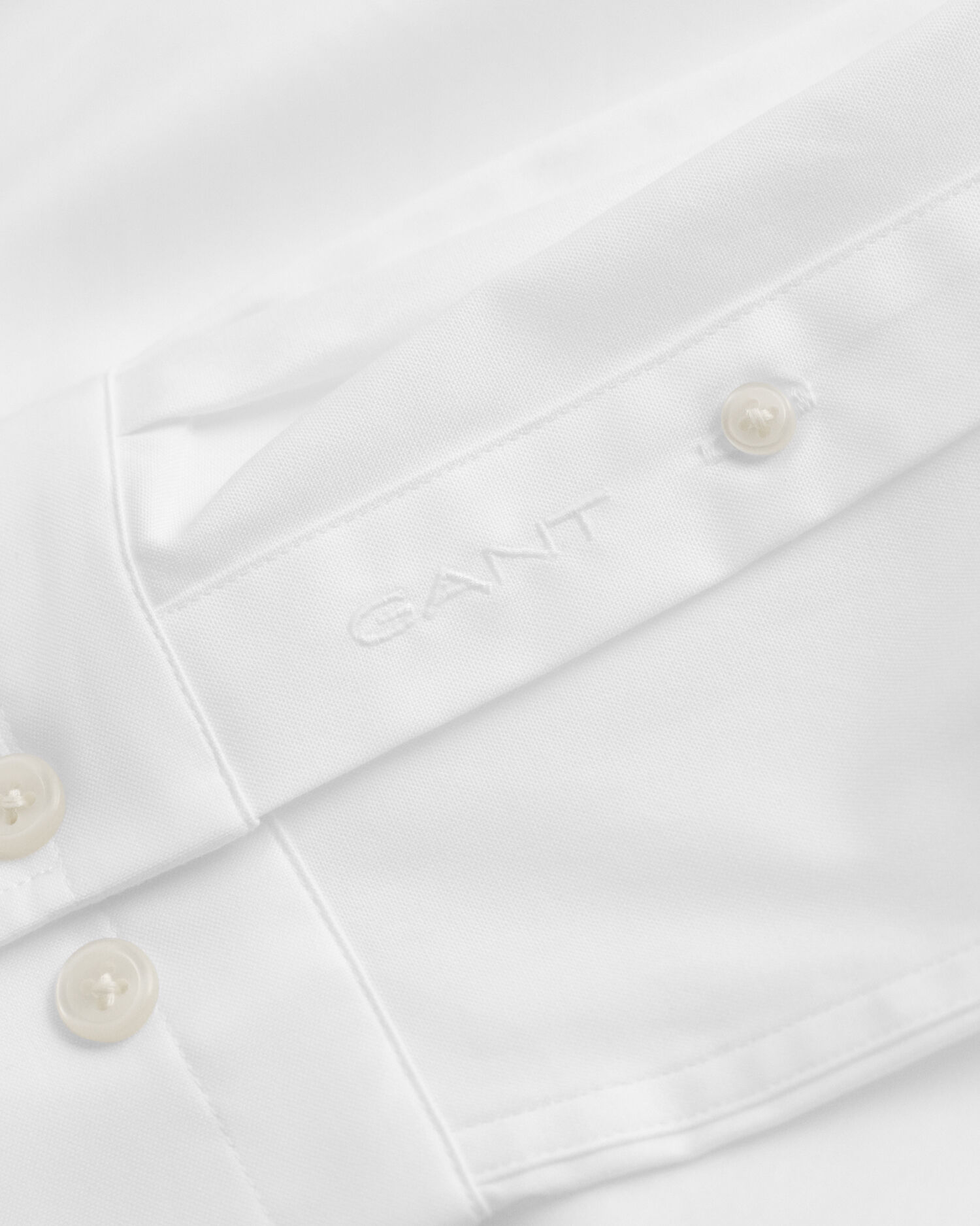 Camisa Oxford pinpoint regular fit