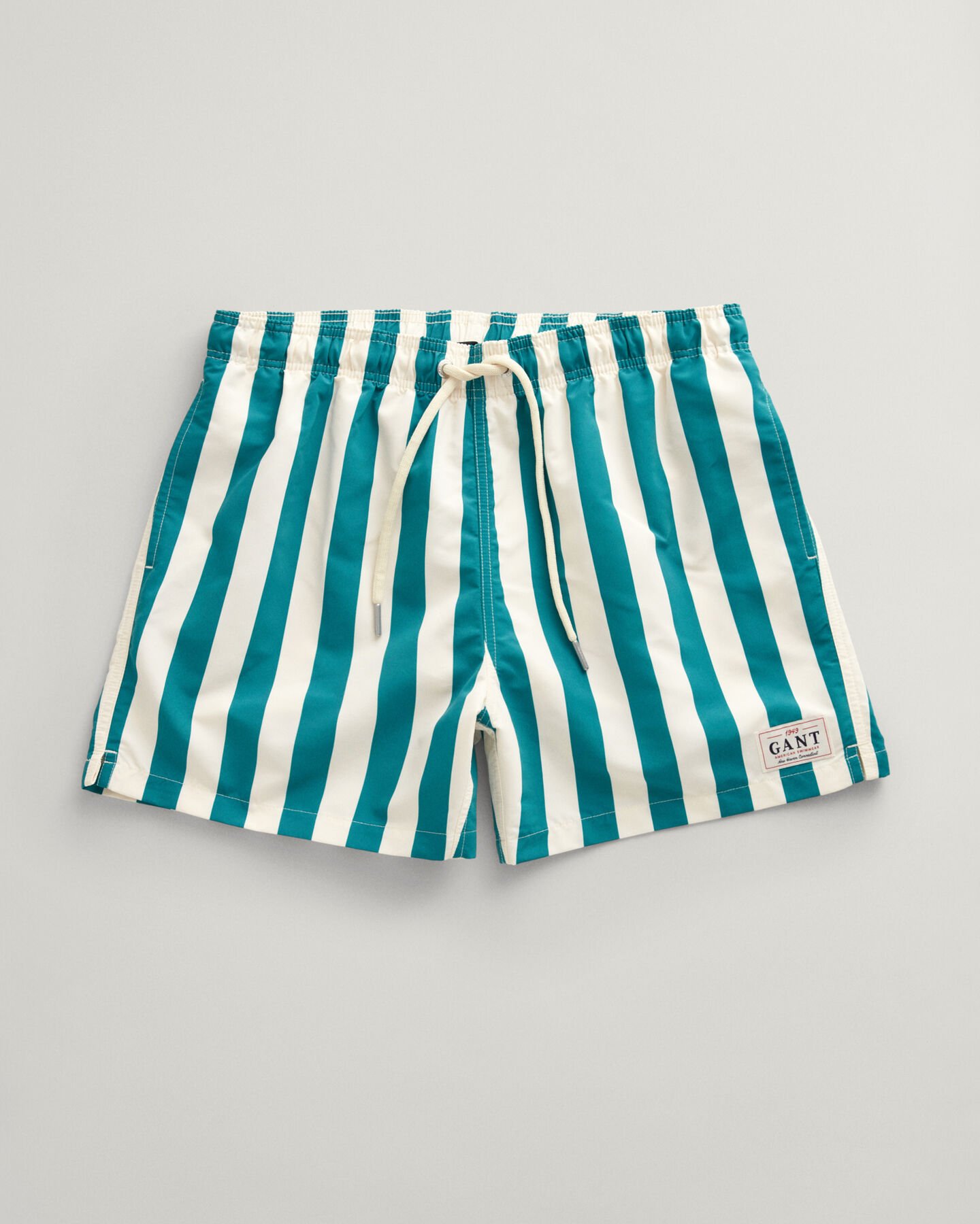 Block Striped Swim Shorts