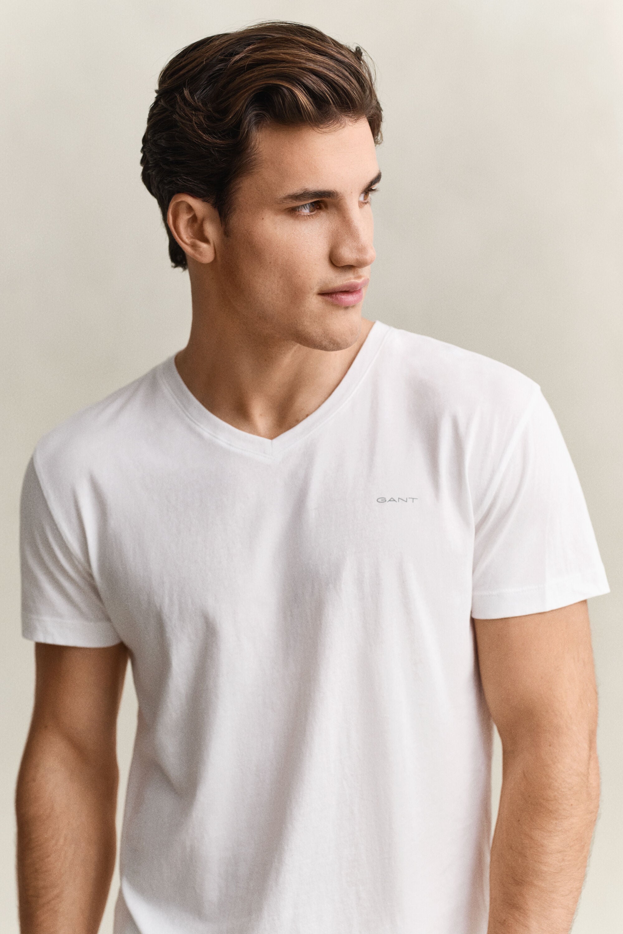 Pack de duas t-shirts com decote em V